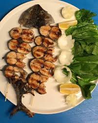 Palamut Izgara Takoz